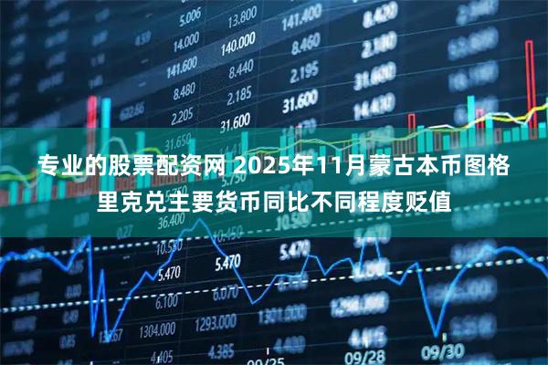 专业的股票配资网 2025年11月蒙古本币图格里克兑主要货币同比不同程度贬值